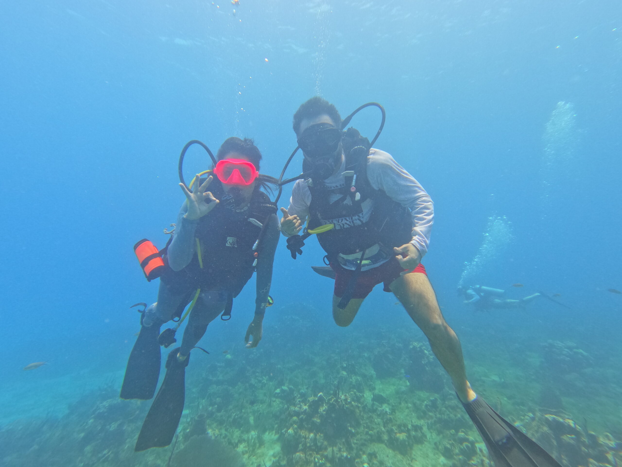 scuba diving bayahibe